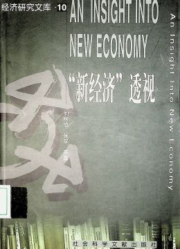 《“新經(jīng)濟”透視》
