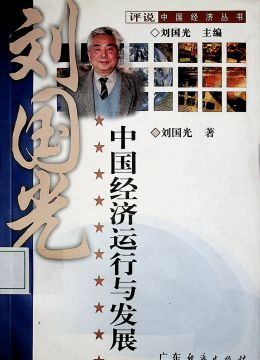 《中國經(jīng)濟運行與發(fā)展》