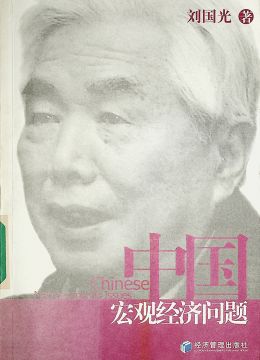 《中國(guó)宏觀經(jīng)濟(jì)問(wèn)題》