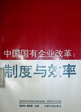 《中國國有企業(yè)改革：制度與效率》