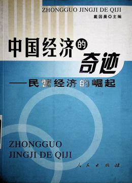 《中國(guó)經(jīng)濟(jì)的奇跡-民營(yíng)經(jīng)濟(jì)的崛起》