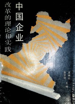 《中國企業(yè)改革的理論和實(shí)踐》