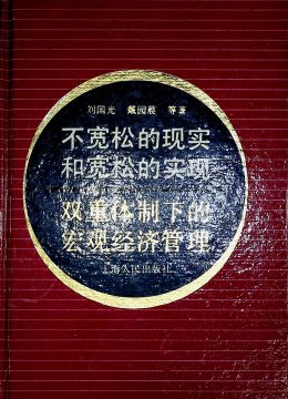 《不寬松的現(xiàn)實(shí)和寬松的實(shí)現(xiàn) 雙重體制下的宏觀(guān)經(jīng)濟(jì)管理》