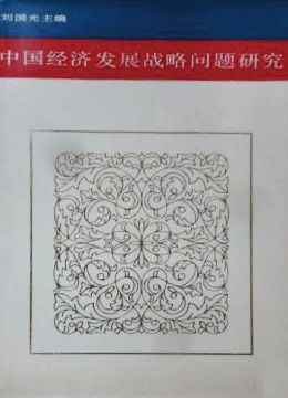 《中國(guó)經(jīng)濟(jì)發(fā)展戰(zhàn)略問(wèn)題研究》