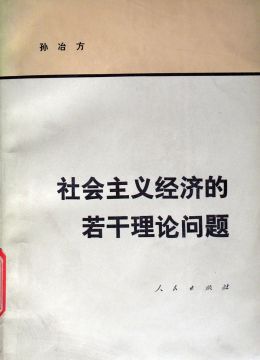 《社會(huì)主義經(jīng)濟(jì)的若干理論問(wèn)題》